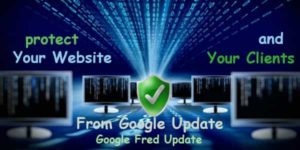 Protect Your Website From Google Update also Google Fred Update